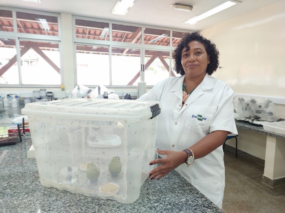 5531faf9-21e8-4402-823b-2e2dd4a3f6a4 Em Macapá, Embrapa empossa Cristiane Ramos primeira mulher a ocupar o cargo de chefe-geral e anuncia avanços no controle de pragas agrícolas